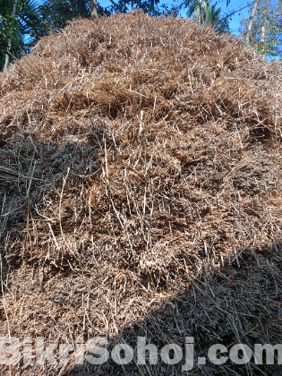 খড় / পোয়াল